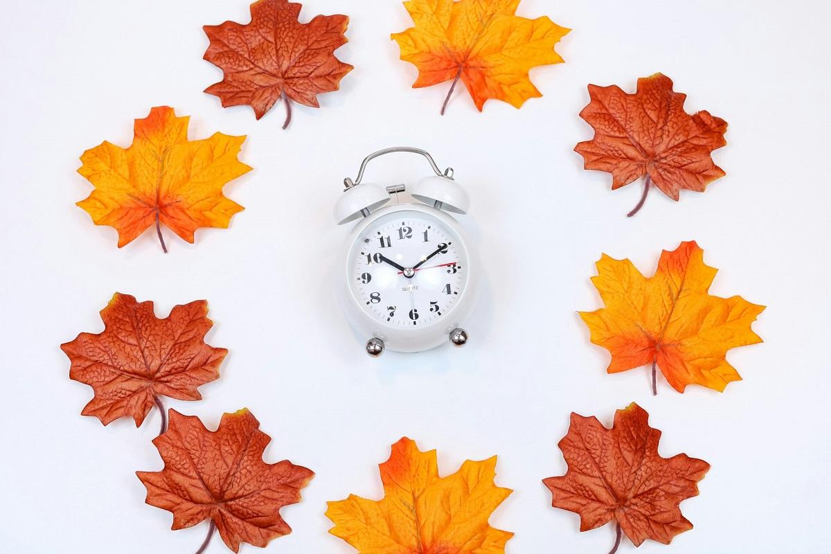 Feuilles autour d'une horloge