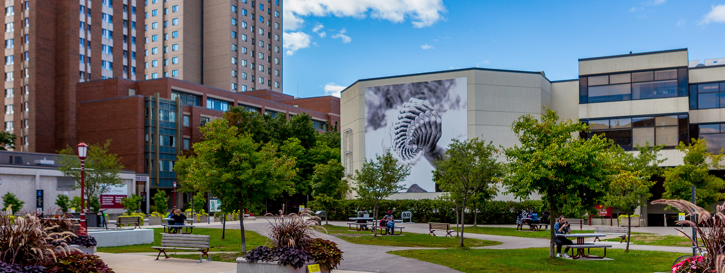 le campus de l’Université d’Ottawa