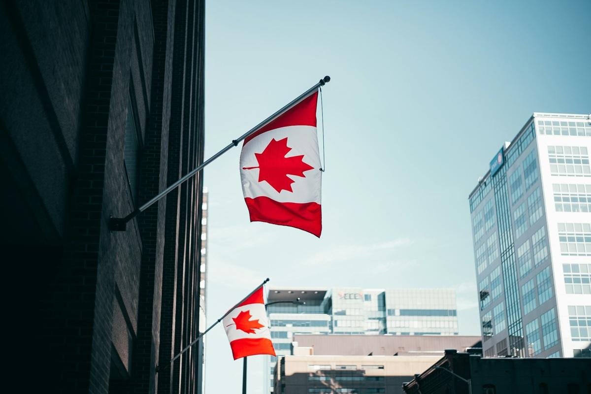 Des drapeaux canadiens accrochés à un immeuble