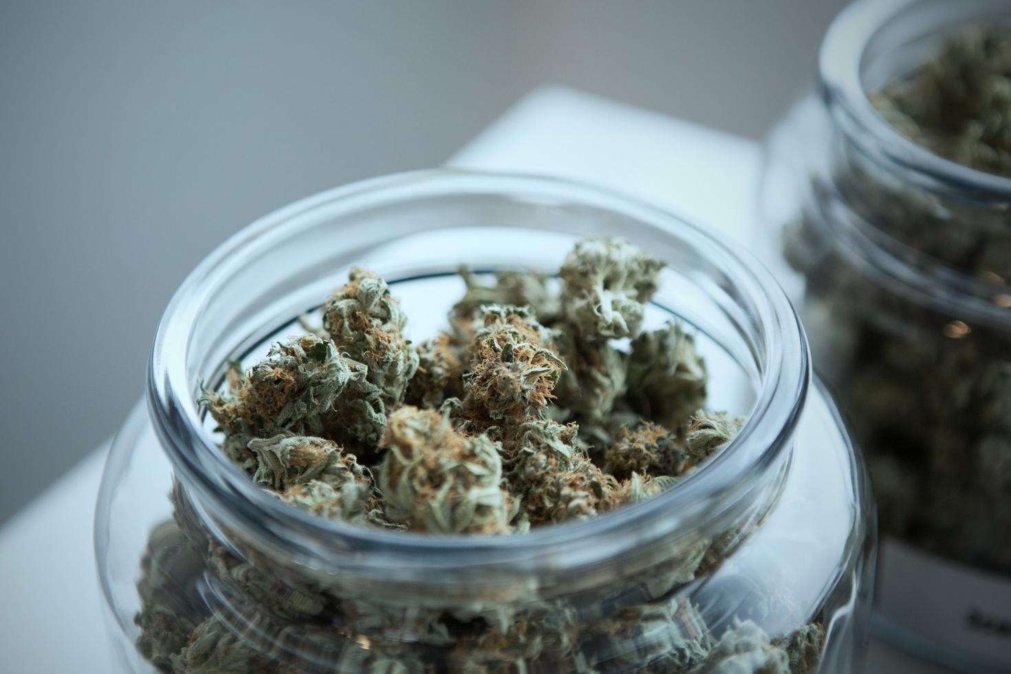 Cannabis