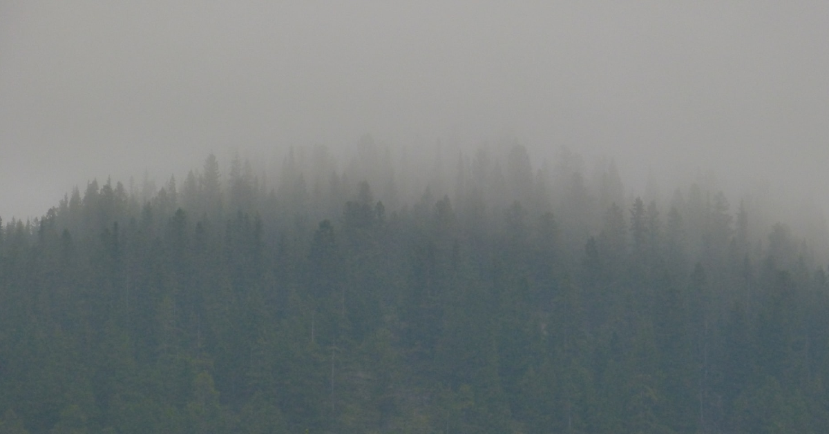 canva-photo