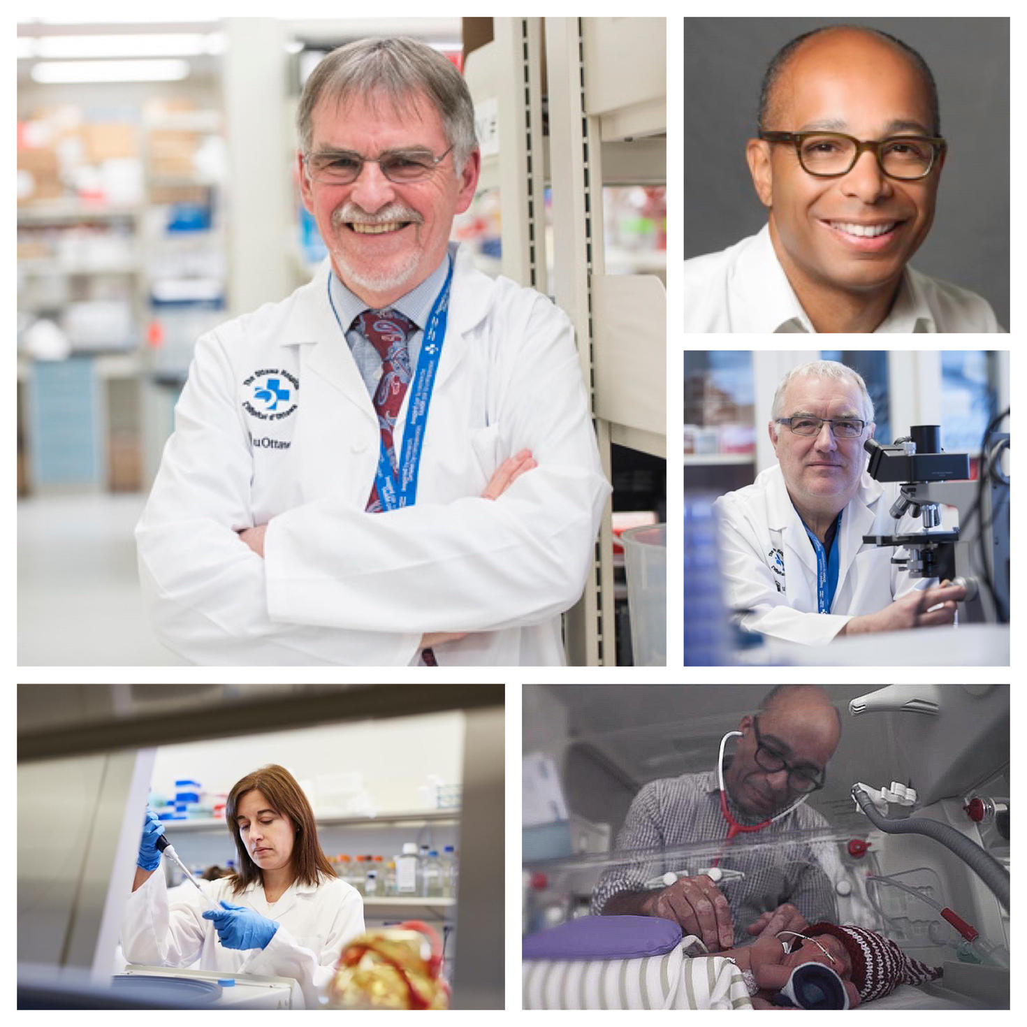 Collage photo de Dr Stewart et son équipe