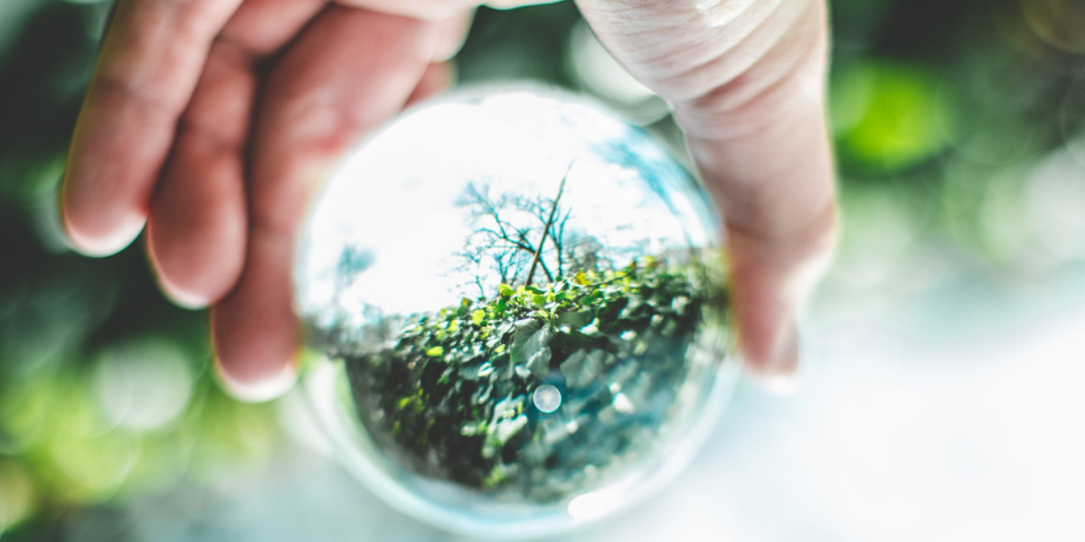 Science et innovation