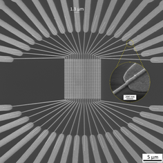 Image de nanoantennes optiques.