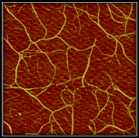 Image de nanotubes ultrapurs.