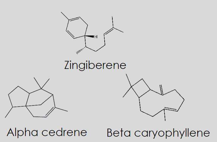 Zingiberene, Alpha cedrene and beta caryophyllene chemical structures