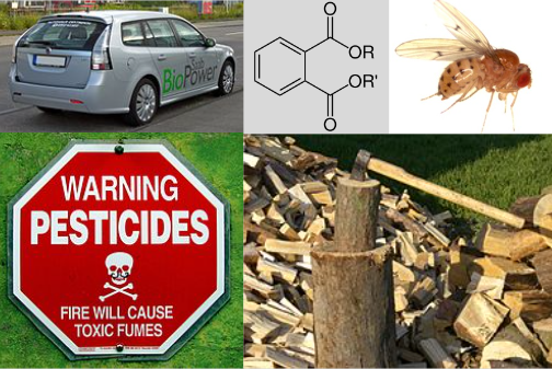 Picture displaying many sources of hydrocarbons: car, pesticides, herbicides