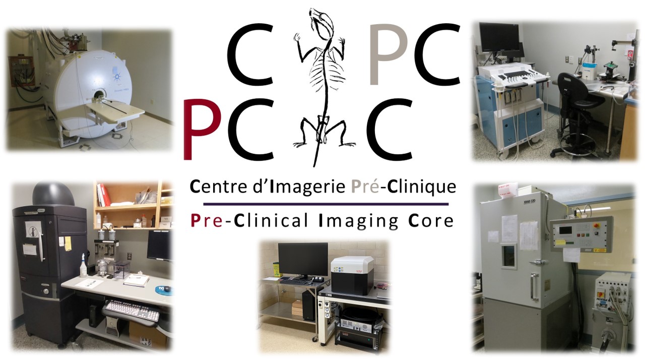 Affiche du PCIC avec les images des instruments et le logo