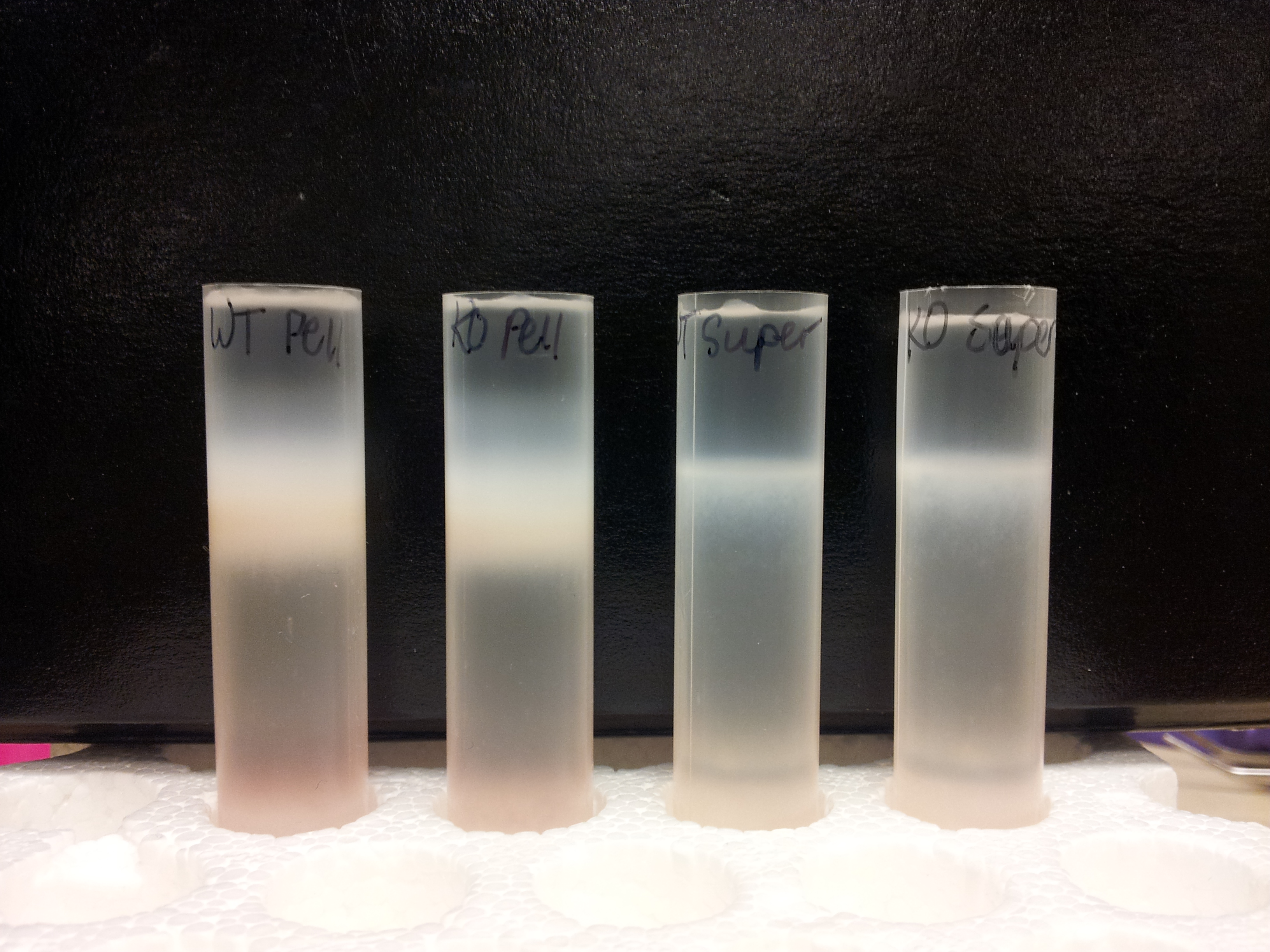 Synthèse de nanoparticules en flacon