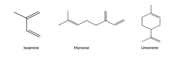 Mono Terpenes