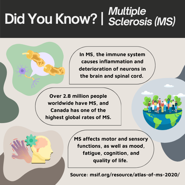 Text that reads "Did you Know?|Multiple Sclerosis (MS). In MS, the immune system causes inflammation and deterioration of neurons in the brain and spinal cord. Over 2.8 million people worldwide have MS, and Canada has one of the highest global rates of MS. MS affects motor and sensory functions, as well as mood, fatigue, cognition, and quality of life. Source: msif.org/resource/atlas-of-ms-2020/" with graphics of cells, Earth, and a mind with a clog."