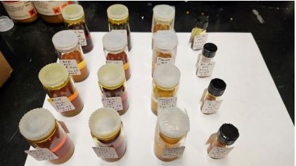 Turmeric Extracts