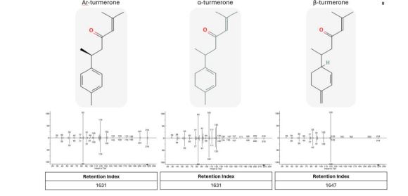 Tumerones and Mass Spec