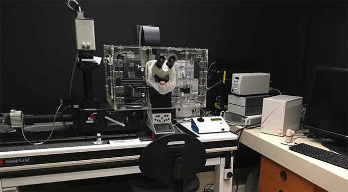 Quorum confocal à disque rotatif