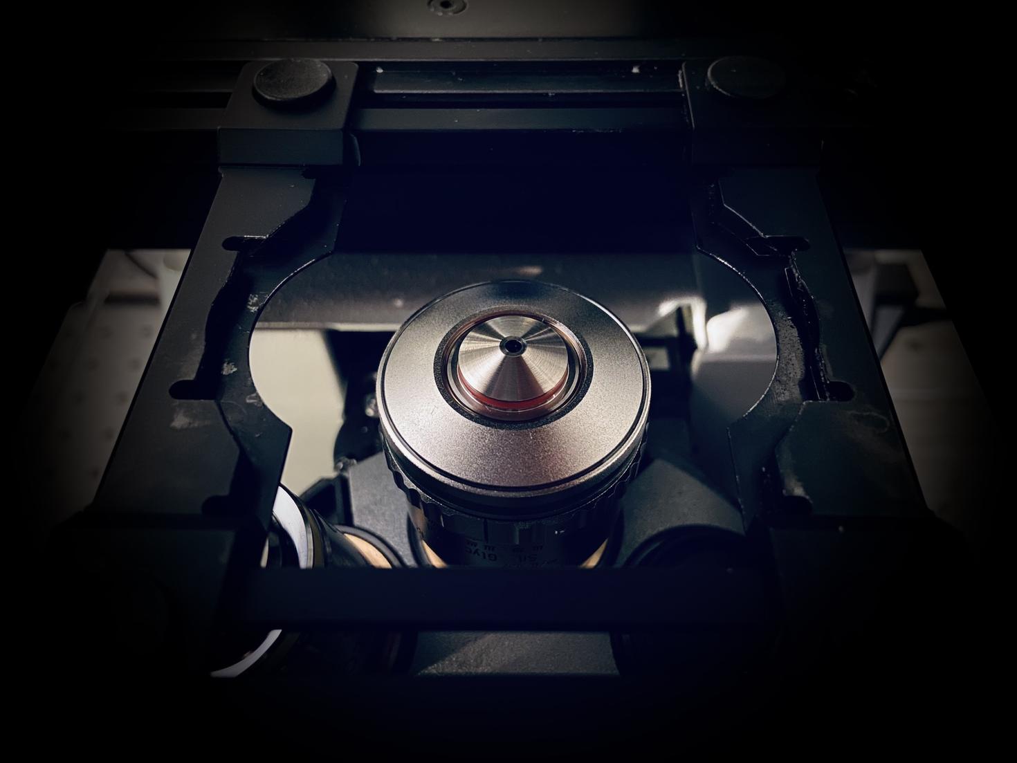Microscope lense