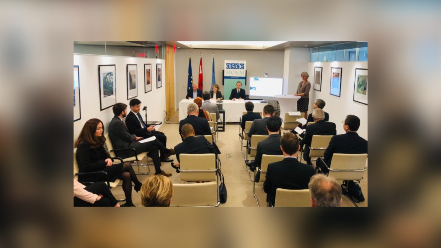 Défendre la cause de l'inclusion des minorités aux Nations Unies à New York