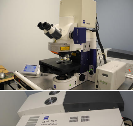 microscope lsm 510