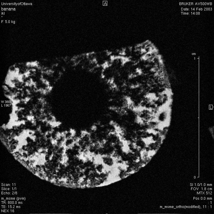 Mushroom nmr image