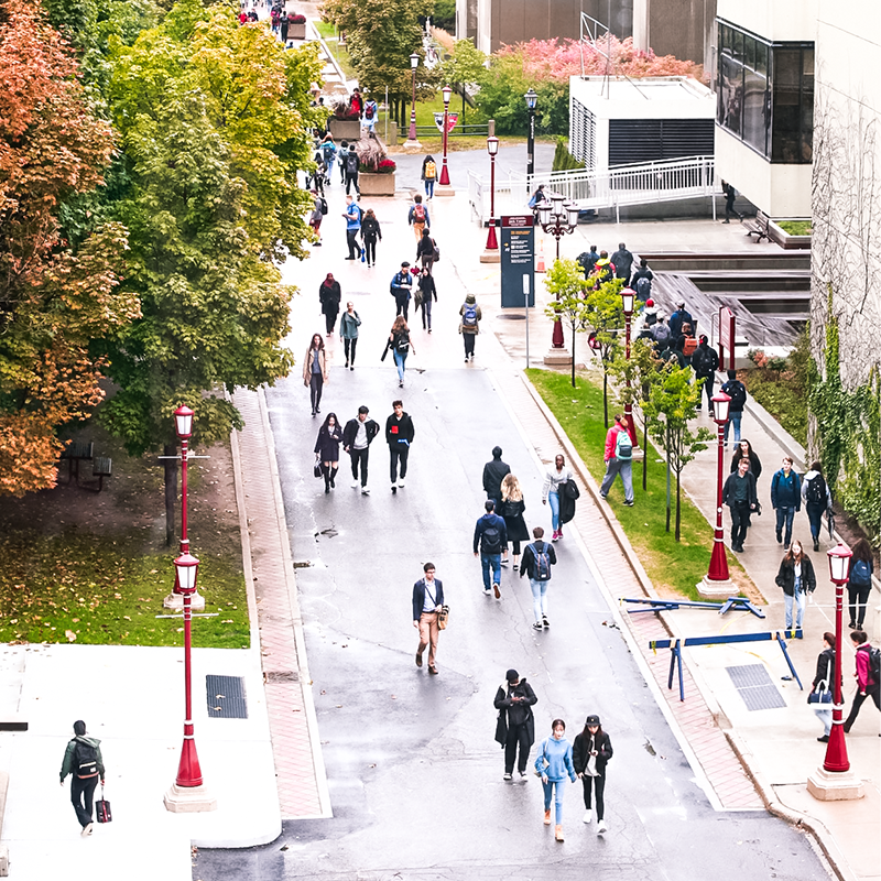 Students on campus