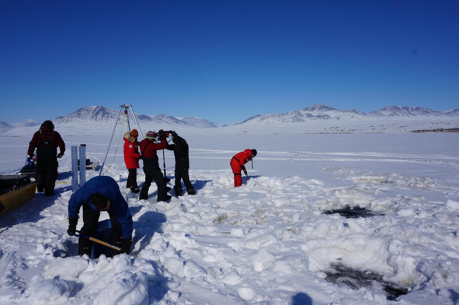Prélèvement d’échantillons dans le Haut-Arctique.