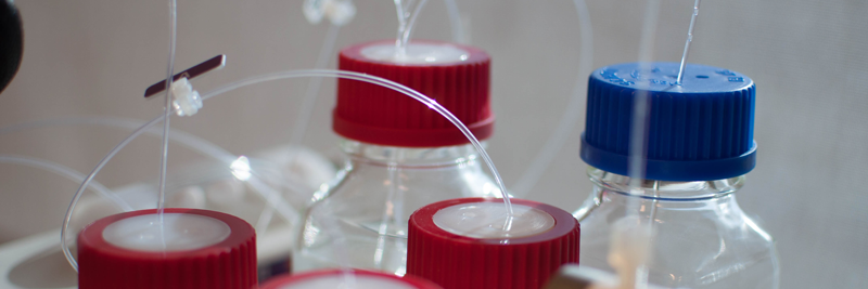 Bouteilles en verre avec tube