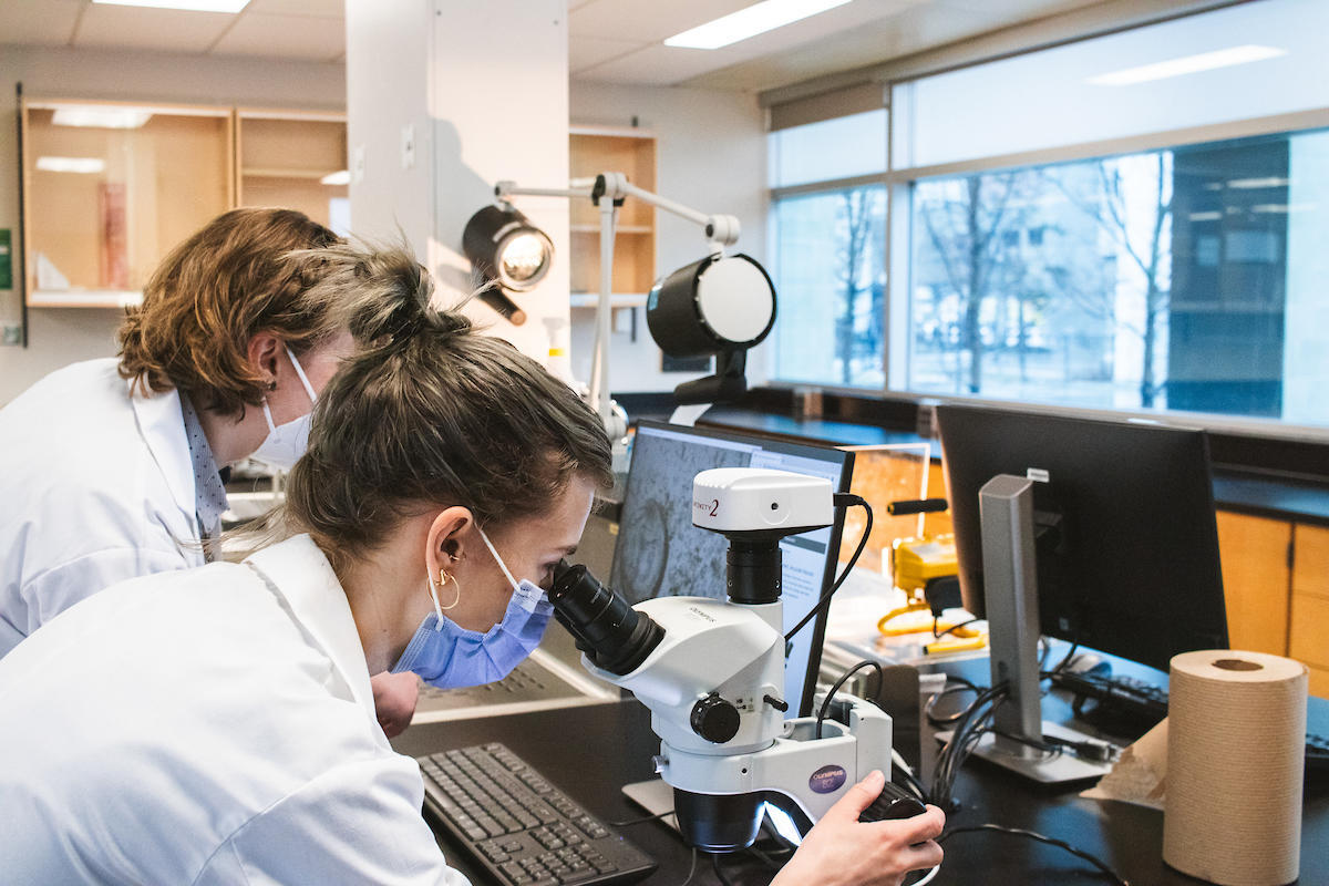 Des chercheurs observant des échantillons au microscope dans un laboratoire.