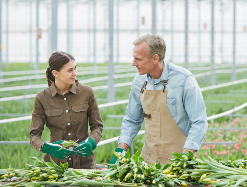 Père et fille agriculteurs dans une serre