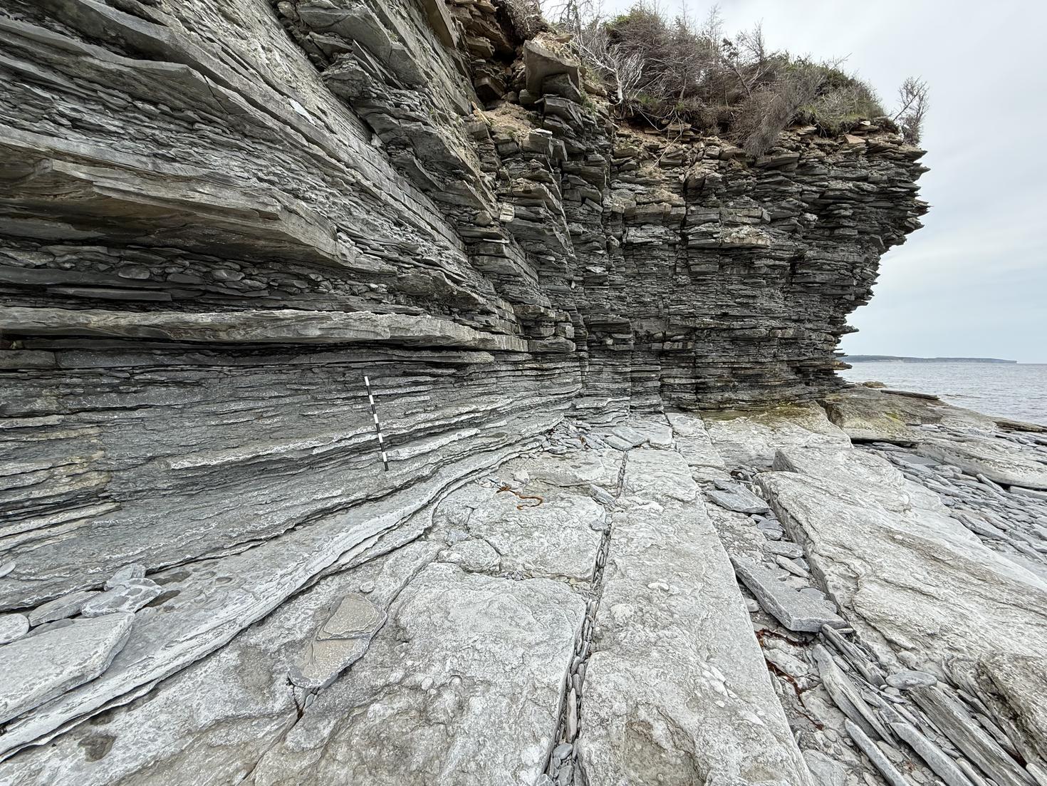 Intervalle de l’Ordovicien–Silurien à l’est de l’île d’Anticosti – Photo : André Desrochers