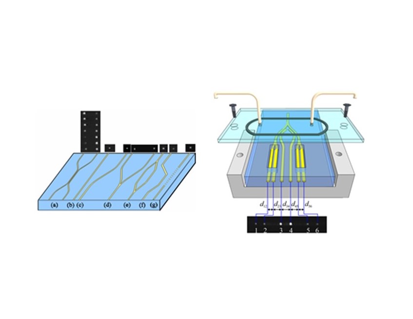 A schematic representation of an integrated circuit and biosensor set up