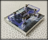 An image of a biosensor 