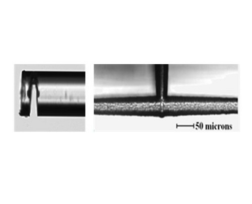 An image of a cantilever and microfluidic channel