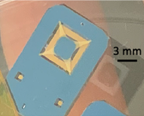 Image of a mass-loaded SiN resonator 