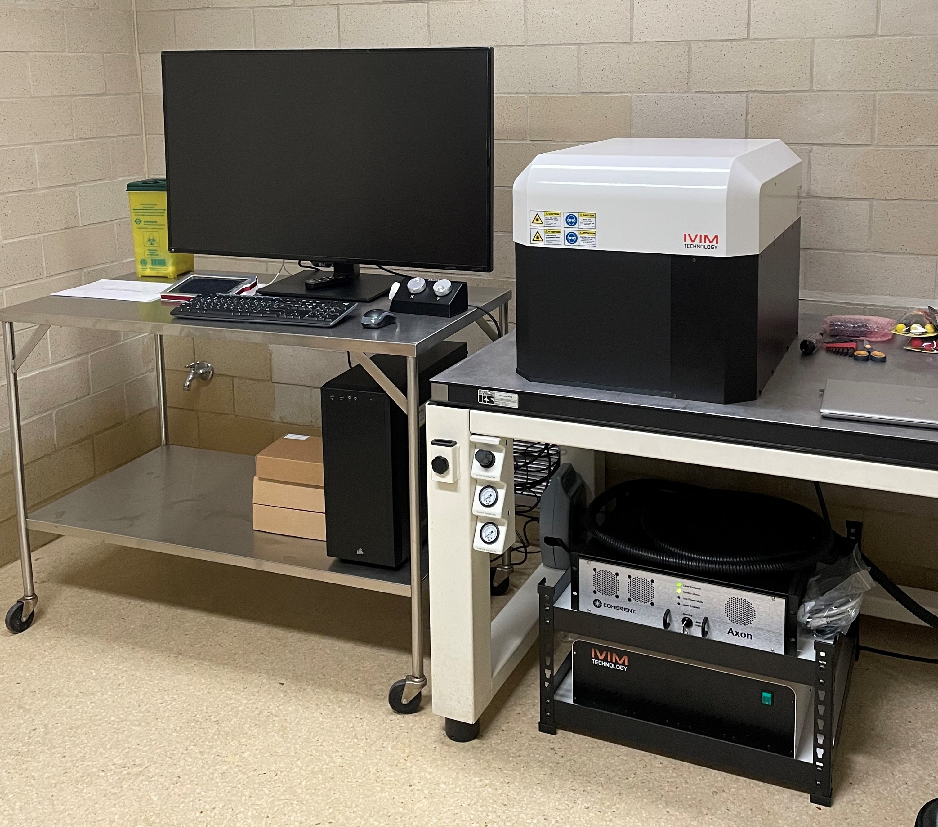 Intravital microscopy | Research and innovation