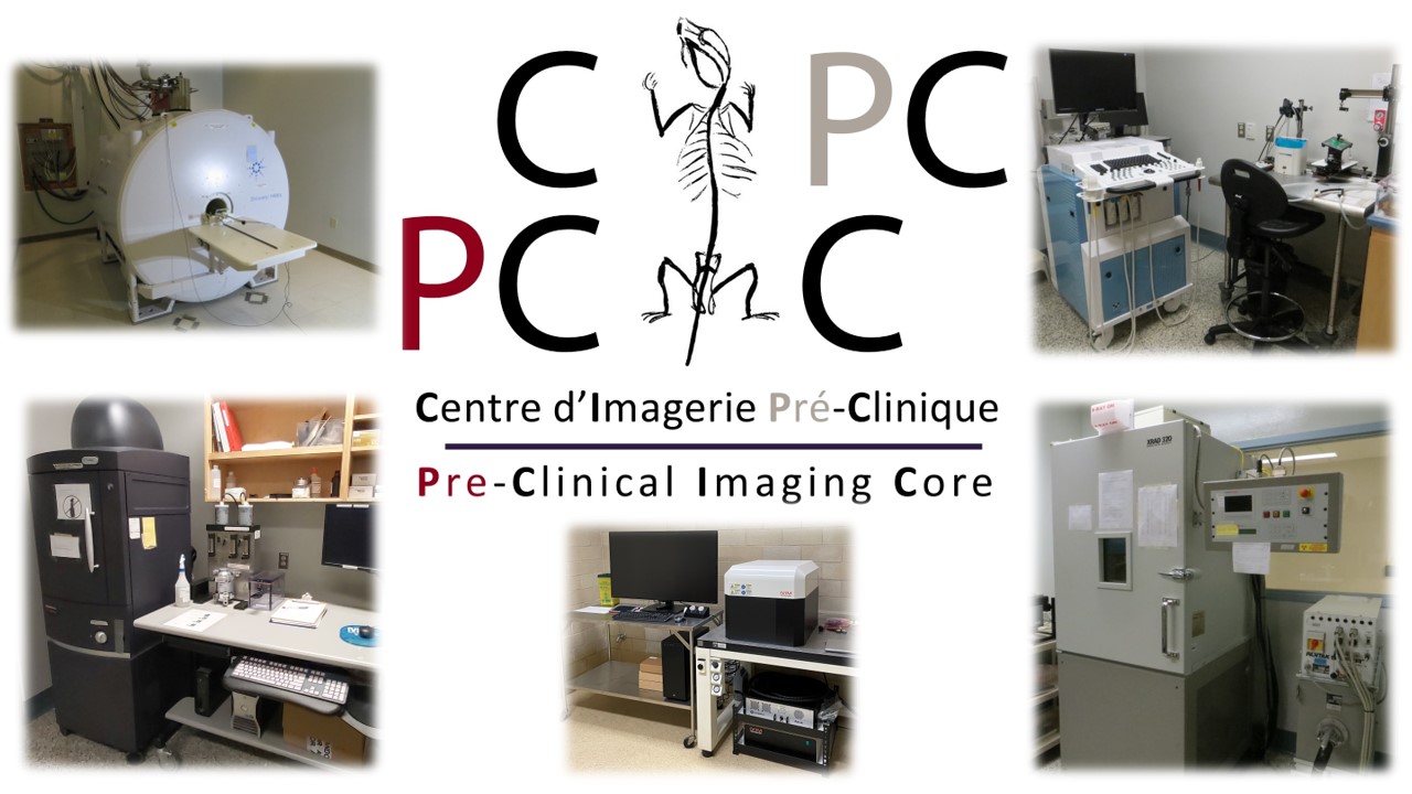 PCIC poster with images of the instruments and logo