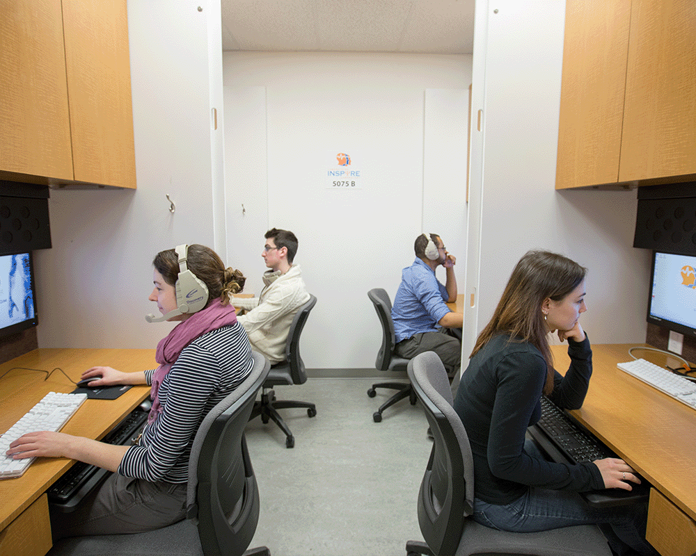 Four students working in their own space in the standard suite.