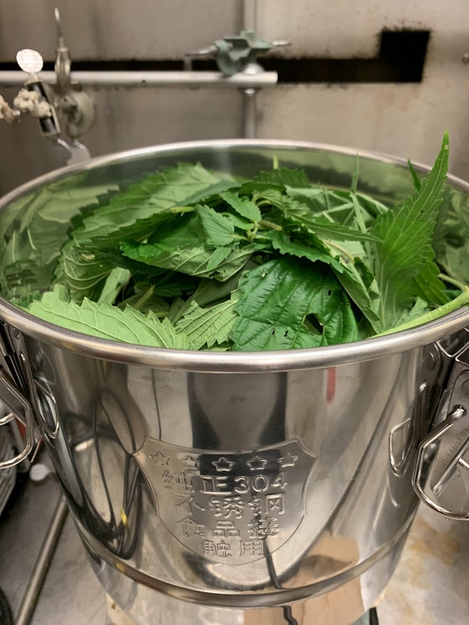 lemonbalm in a bowl