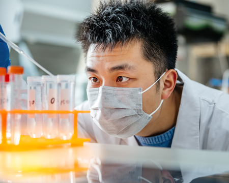 Male scientist working in the lab