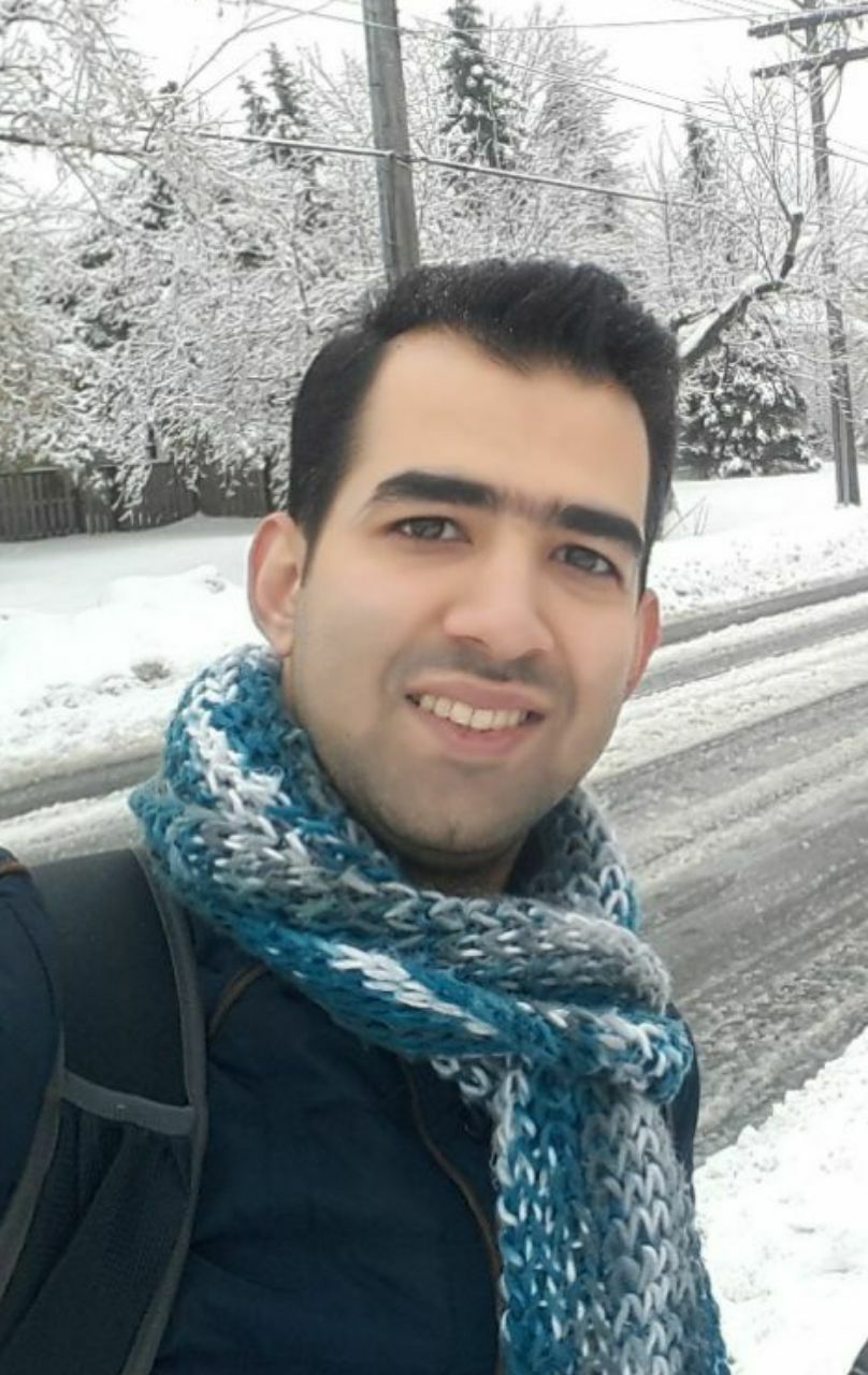 Hamed Mozafarishamsi