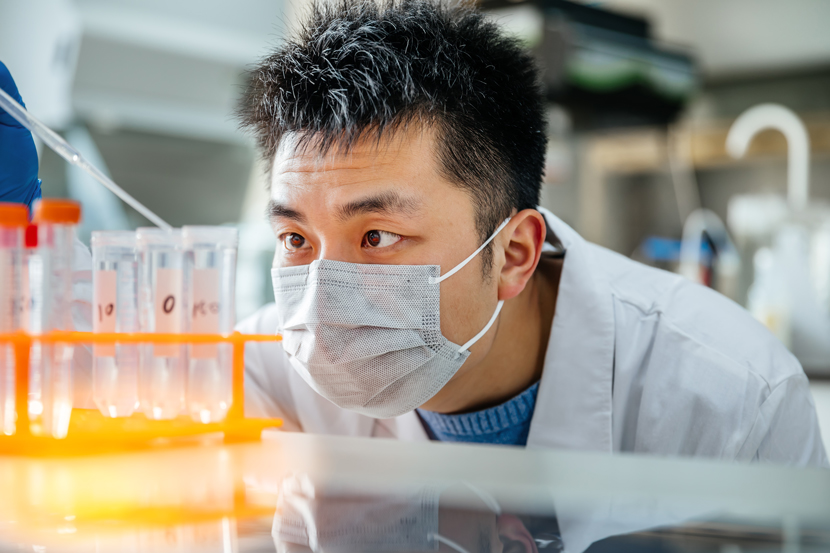 Male scientist working in the lab