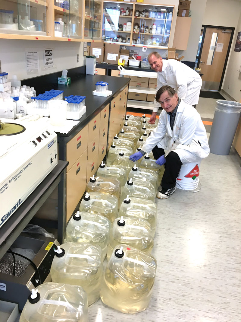 Jack cornett in the acitnides lab