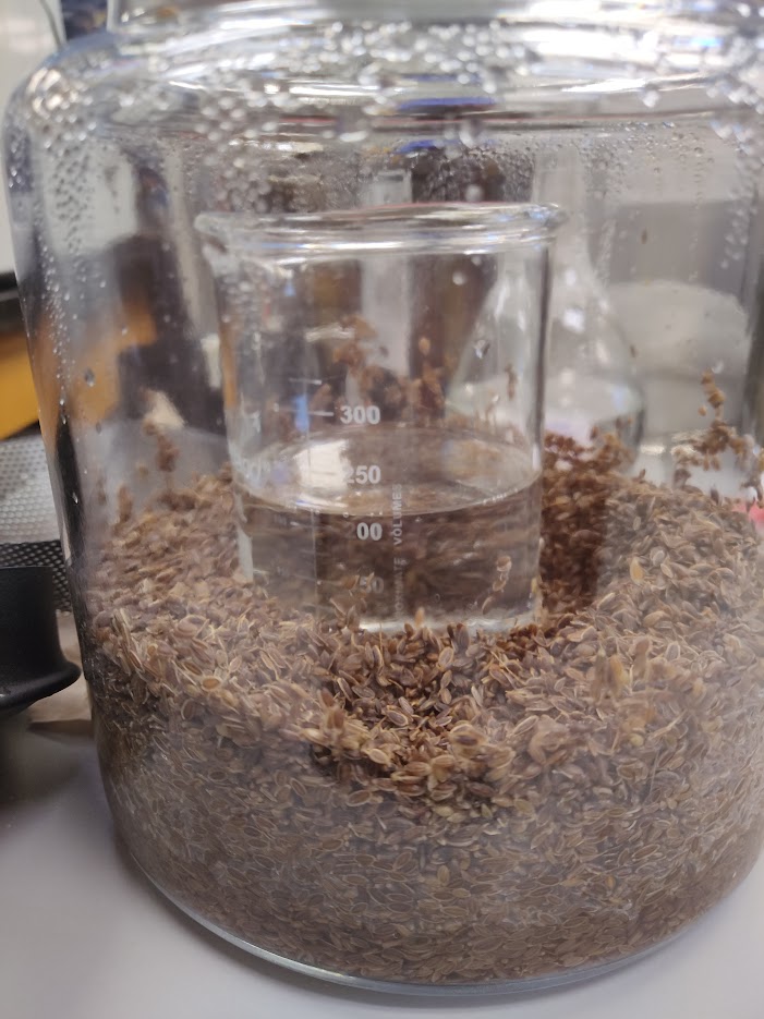 dill seed hydrosol in vessel