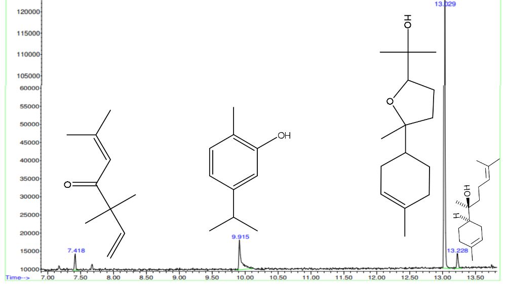 Chromatogram of chamomile hydrosol.