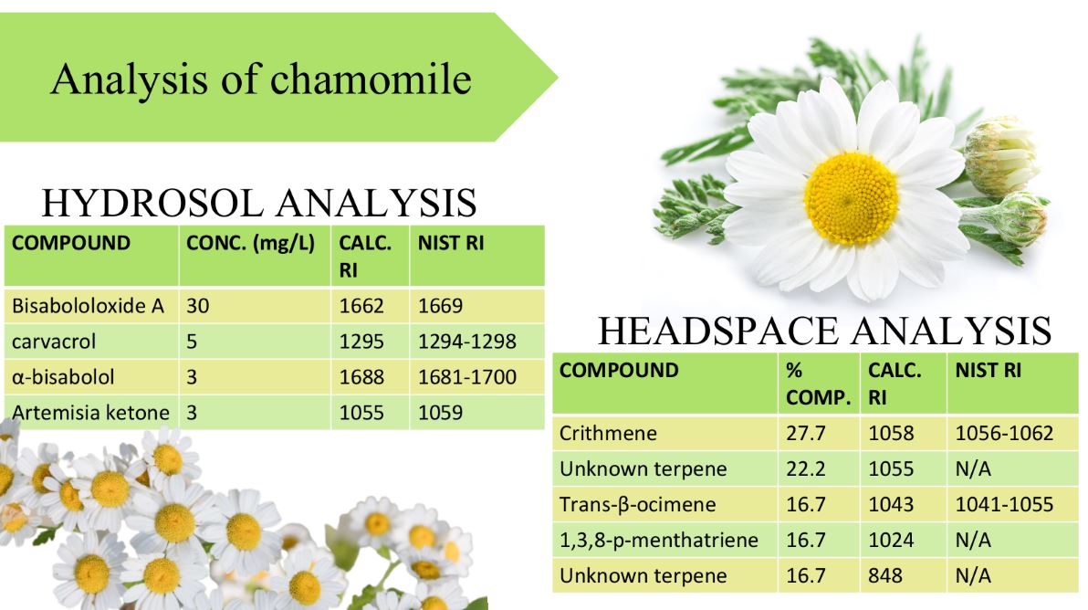 Analysis of chamomile hydrosol