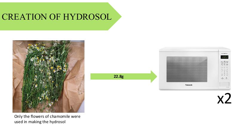 Process of creating chamomile hydrosol