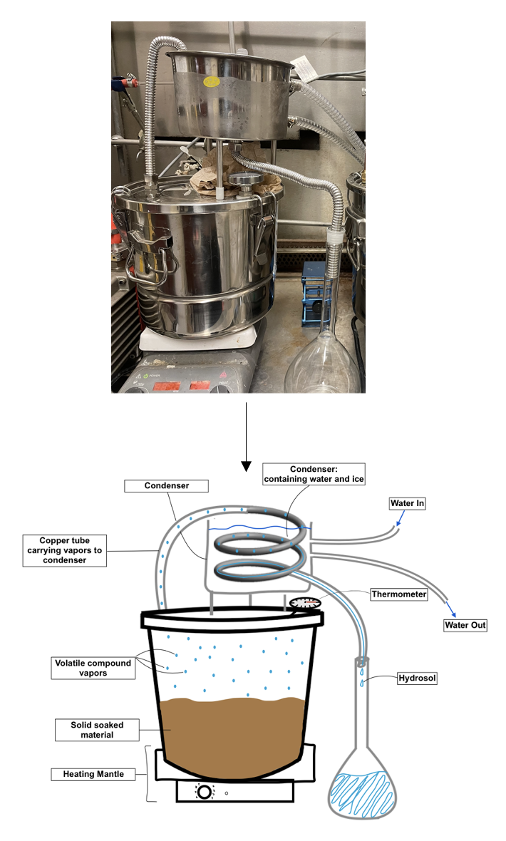 Hydro Distillation Apparatus Breakdown