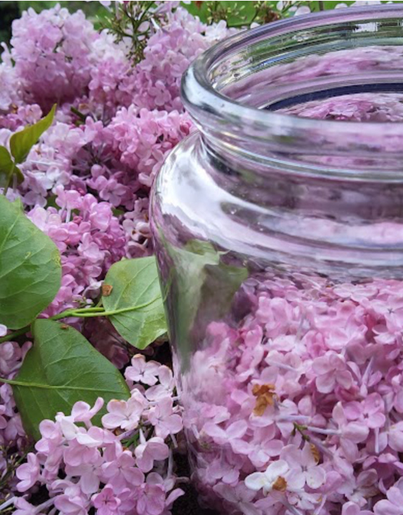 Lilac petals in a jar