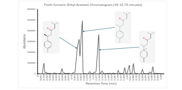 Fresh Turmeric Chromatogram
