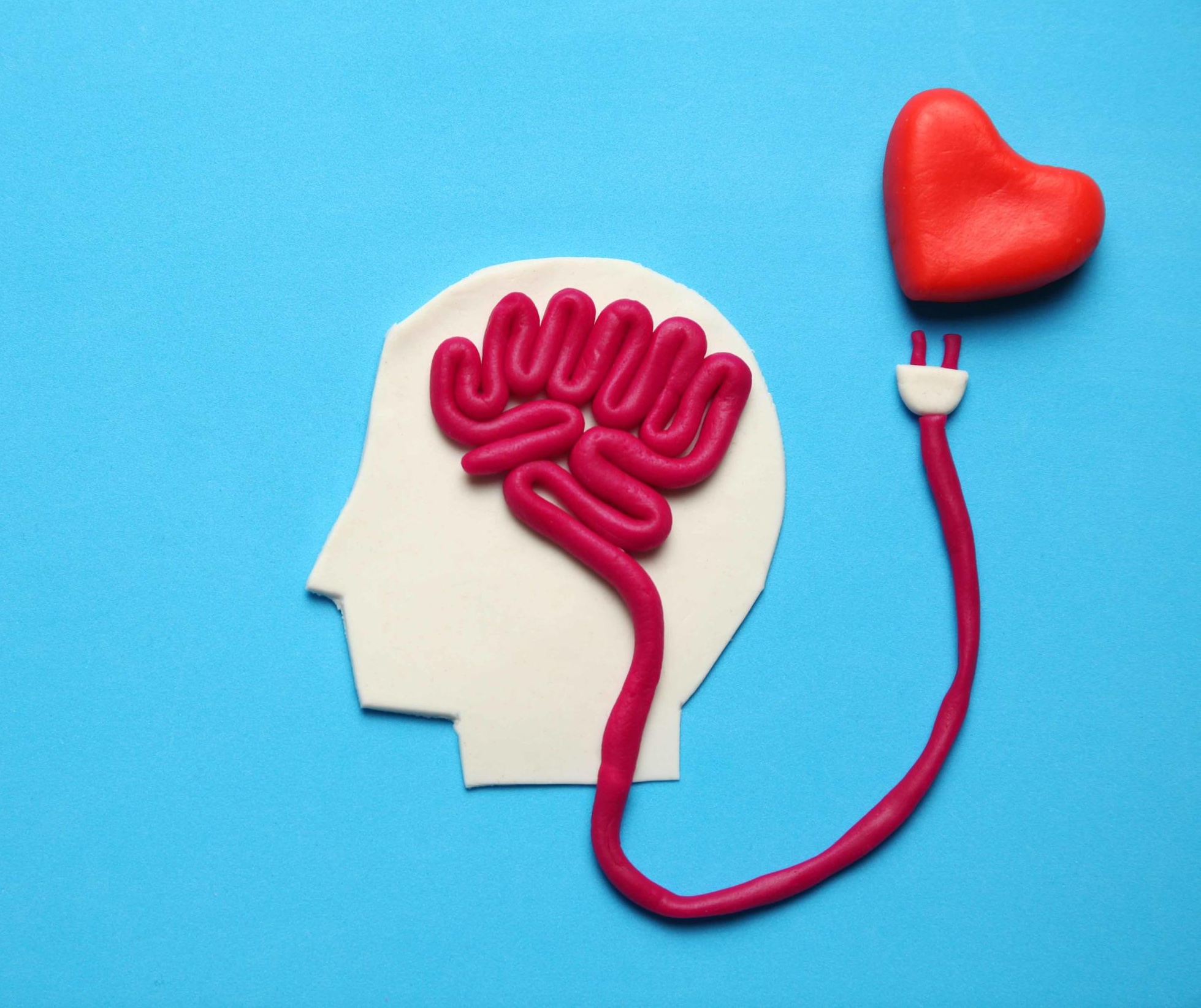 Brain and heart connection