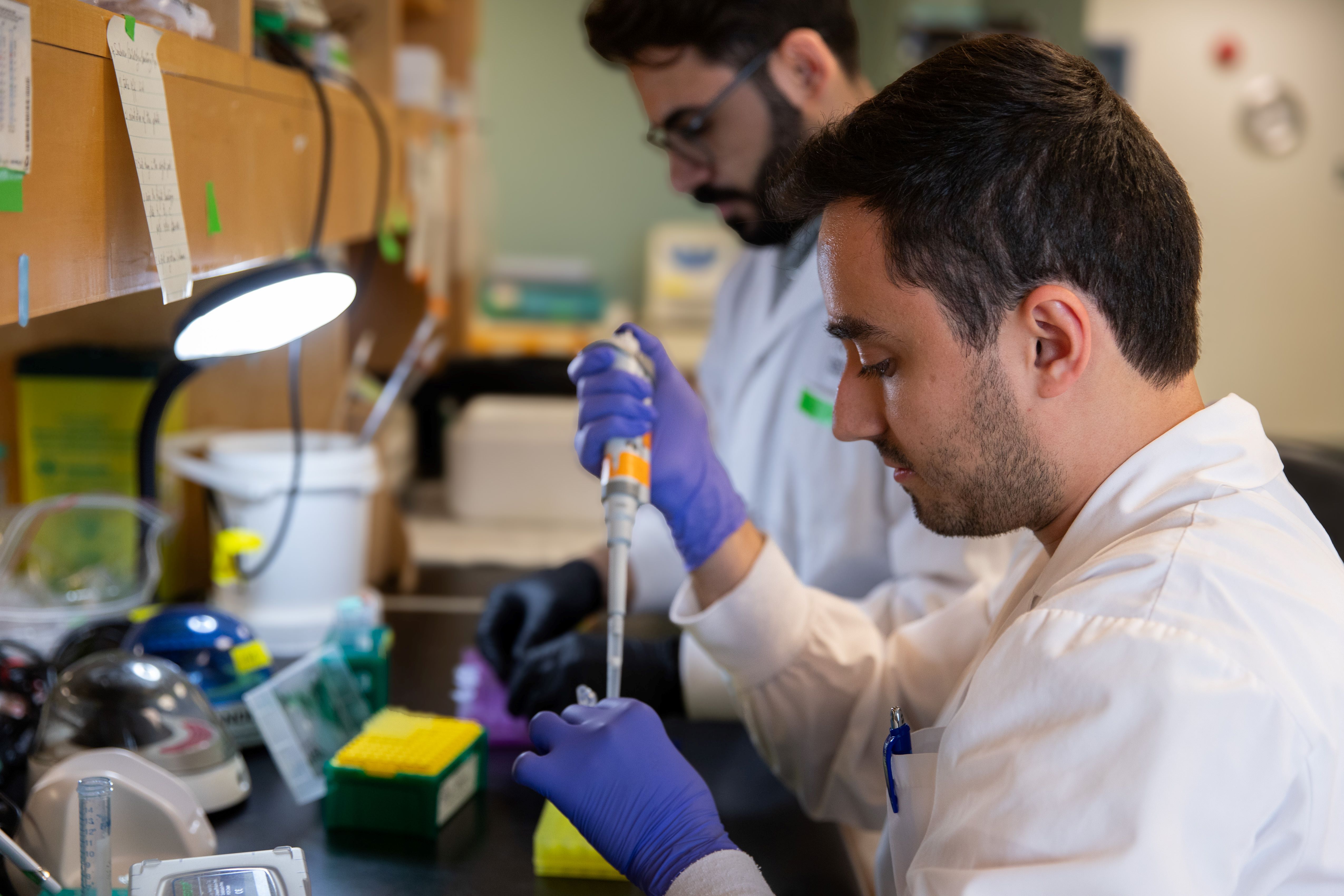 Students in the Harper Lab 