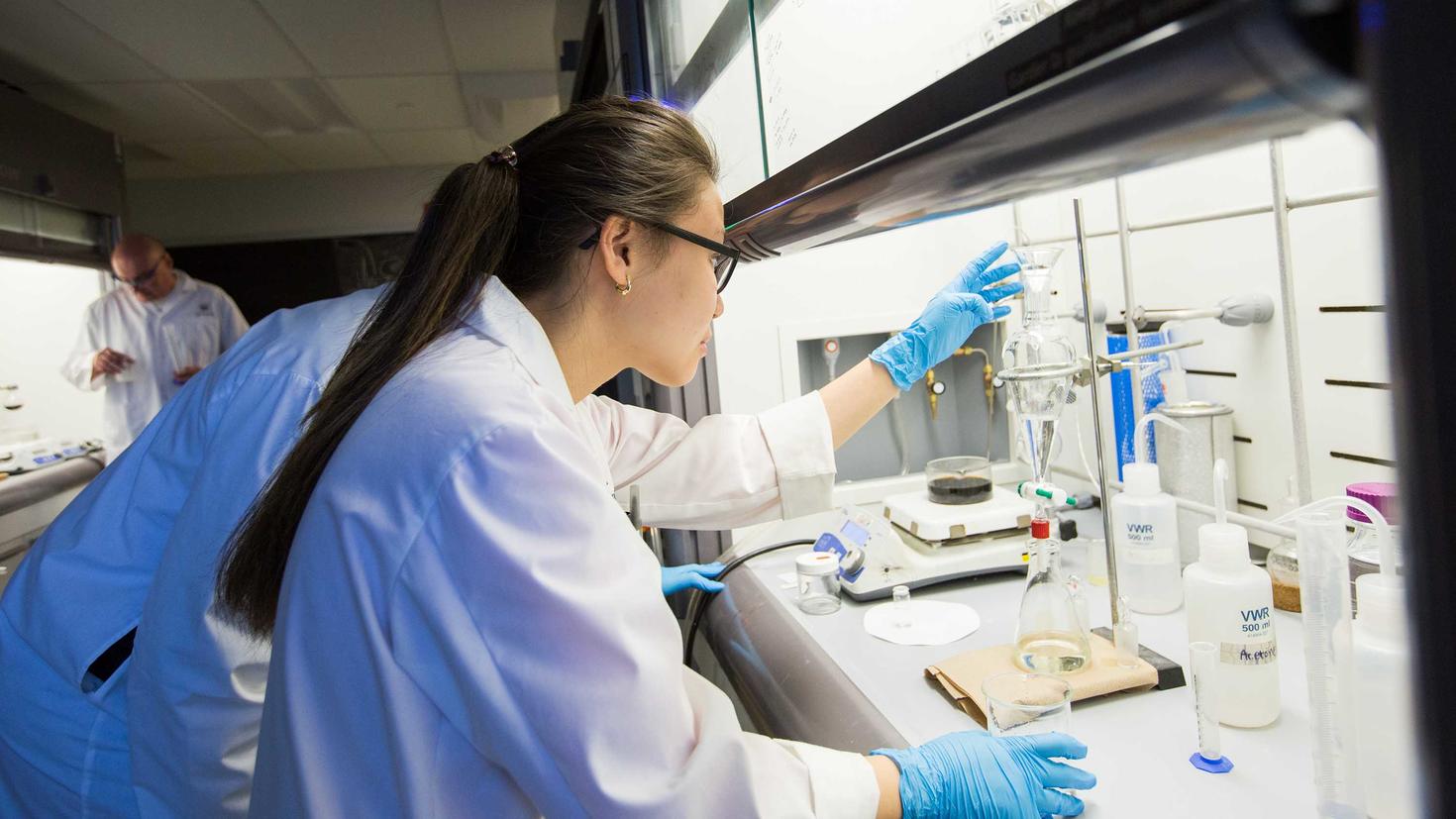 Researchers working in a lab